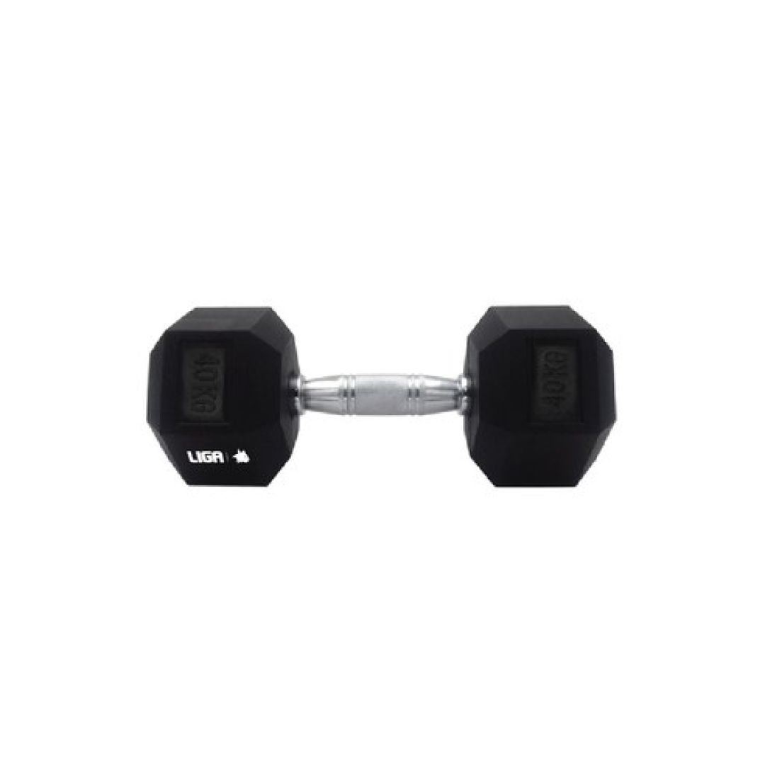 DUMBBELL 40KGR