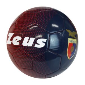 CASERTANA 17/18 PALLONE