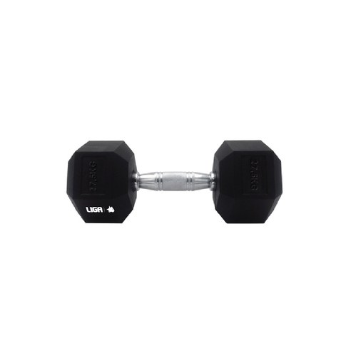 DUMBBELL-27,5kg LIGASPORT”