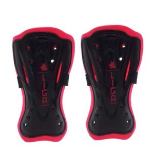 SHIN GUARD ECONOMY