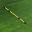 LINE.BALL .DEFLECTOR be0929f2
