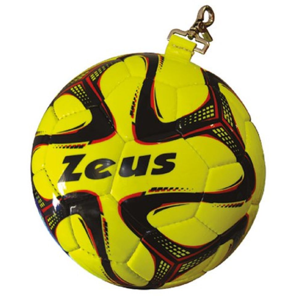 PALLONE PENDOLO dfe9c065